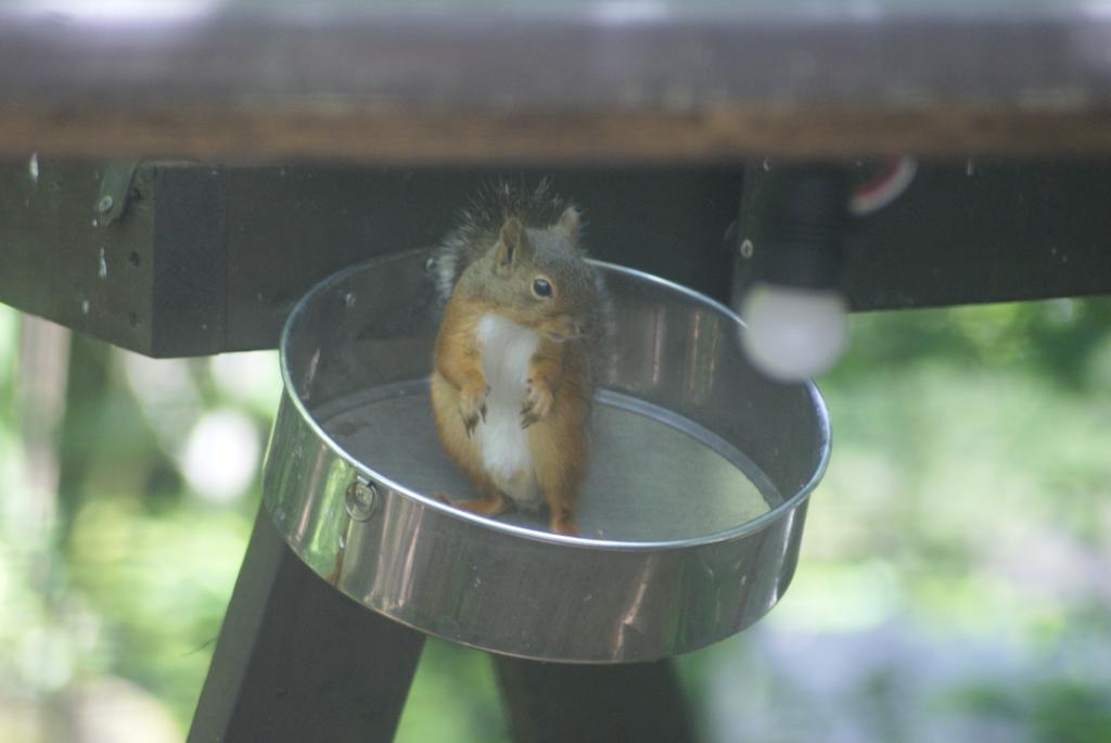 ピッコロホテル オペラ軽井沢 Karuizawa Bagian luar foto